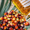 Palm oil - Image 3