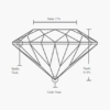 GIA 1.00 Carat Round Diamond - Image 2