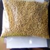 Soya Bean Seeds – Bulk Deals - Image 2